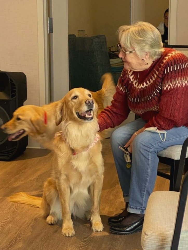 A woman in a bright knit sweater sits petting a golden retriever.