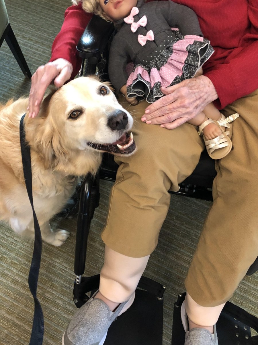 A seated woman holding a doll pets a yellow lab.