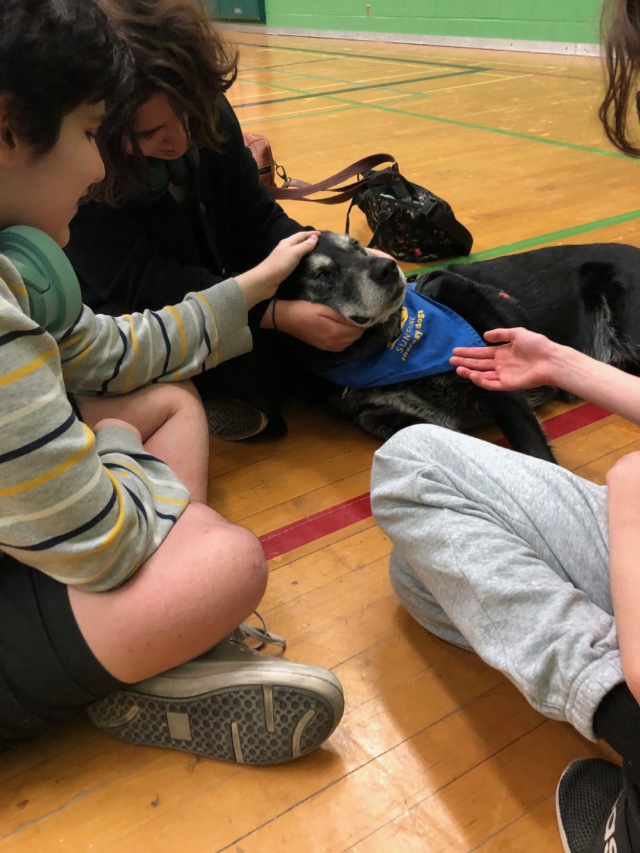 Three students pet a black and white dog.