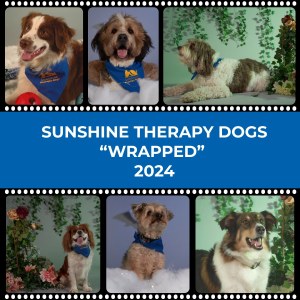 Sunshine Therapy Dogs recap 2024